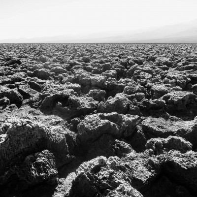 Devil's Corn Field in Death Valley